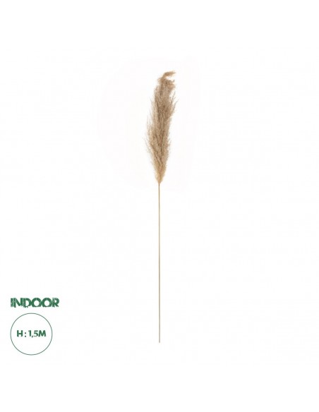 GloboStar® Artificial Garden PAMPAS GRASS 21217 Αποξηραμένο Διακοσμητικό Γρασίδι Πάμπας Μ10 x Π10 x Υ150cm