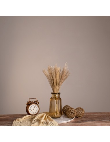 GloboStar® MISCANTHUS 36534 Αποξηραμένο Φυτό...