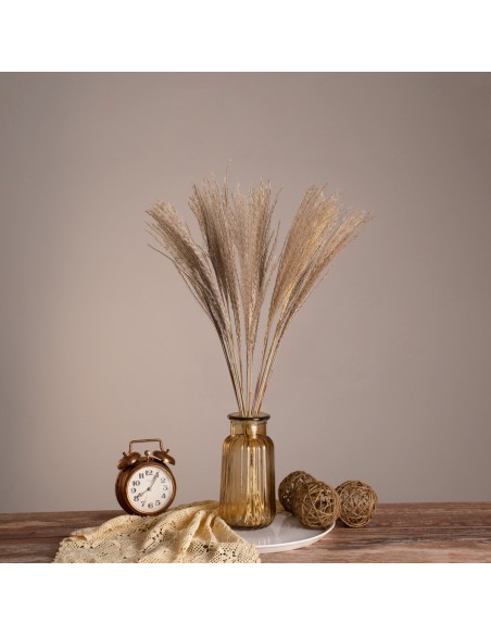 GloboStar® MISCANTHUS 36535 Αποξηραμένο Φυτό Μίσχανθος -...