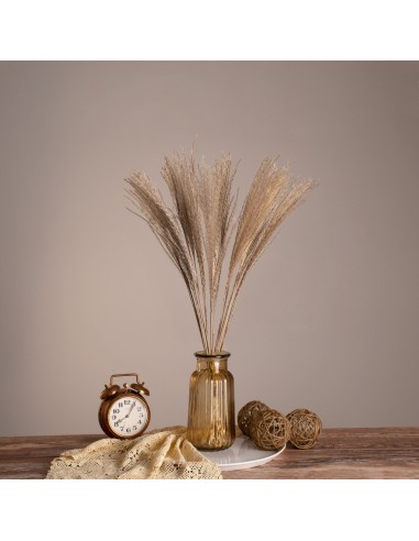 GloboStar® MISCANTHUS 36535 Αποξηραμένο Φυτό...