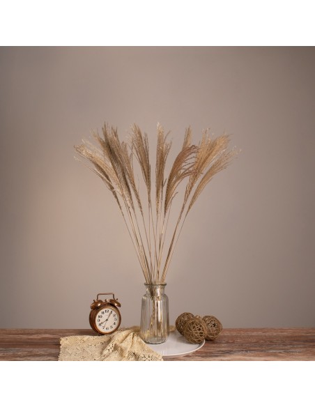 GloboStar® MISCANTHUS 36536 Αποξηραμένο Φυτό Μίσχανθος -...