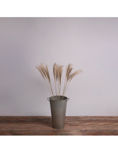 GloboStar® MISCANTHUS 36537 Αποξηραμένο Φυτό...