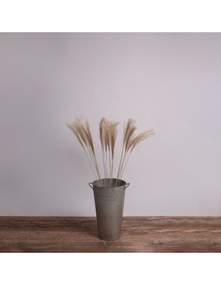 GloboStar® MISCANTHUS 36537 Αποξηραμένο Φυτό Μίσχανθος - Μπουκέτο Διακοσμητικών Κλαδιών Μπεζ Υ100cm