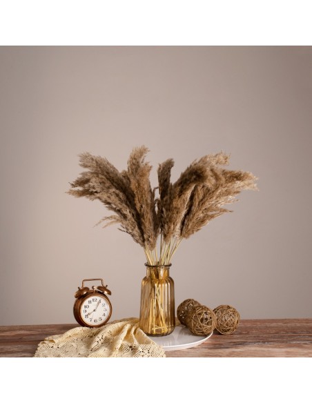 GloboStar® PAMPASGRASS 36544 Αποξηραμένο Φυτό Γρασίδι της Πάμπας - Μπουκέτο Διακοσμητικών Κλαδιών Μπεζ - Καφέ Υ60cm