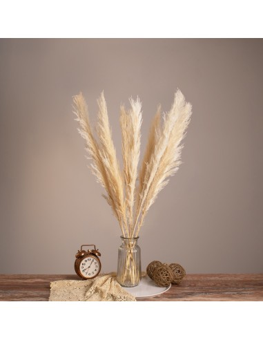 GloboStar® PAMPASGRASS 36507 Αποξηραμένο Φυτό...