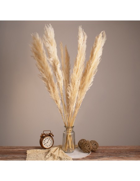 GloboStar® PAMPASGRASS 36508 Αποξηραμένο Φυτό Γρασίδι της...