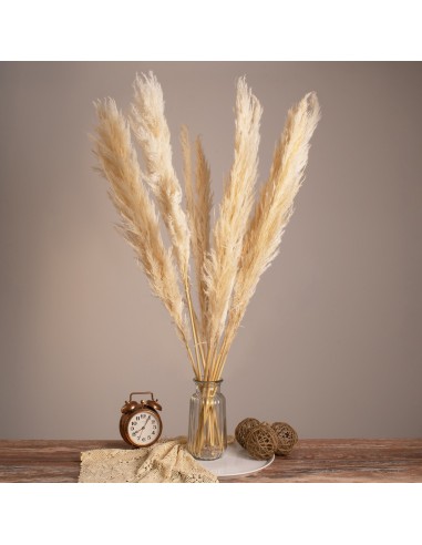 GloboStar® PAMPASGRASS 36508 Αποξηραμένο Φυτό...
