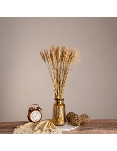 GloboStar® BARLEY 36551 Αποξηραμένο Φυτό...