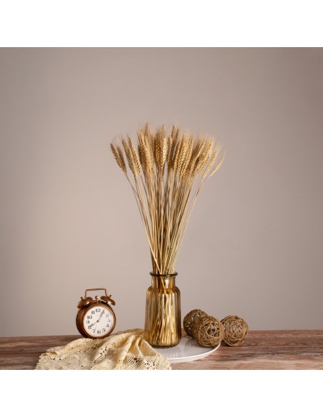 GloboStar® BARLEY 36551 Αποξηραμένο Φυτό Κριθάρι - Μπουκέτο Διακοσμητικών Κλαδιών Μπεζ Υ60cm