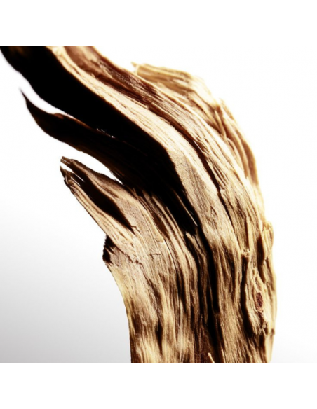 ΑΡΩΜΑΤΙΚΑ ΣΤΙΚ SANDALWOOD & VANILLA 100ml