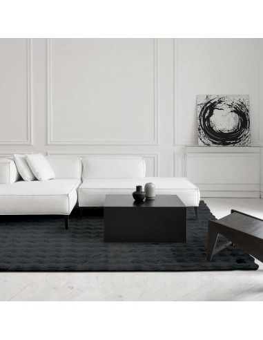 GREENWICH POLO CLUB ΧΑΛΙ 150X200 FAUX FUR 3125...