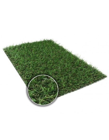 ΓΚΑΖΟΝ Dalton 20mm 4M